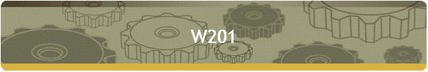 W201